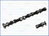 NISSA 1302061J00 Camshaft